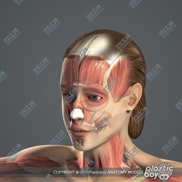images/goods_img/20210312/3D MAYA RIGGED Female Body, Muscular & Skeletal Systems Anatomy 3D Model/2.jpg